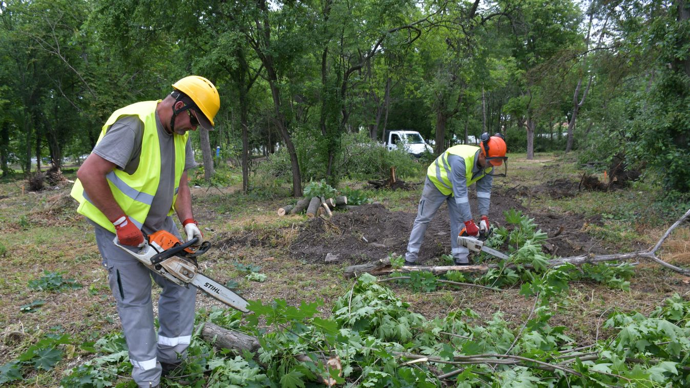 Elkezdődött a park rendezése Szolnokon