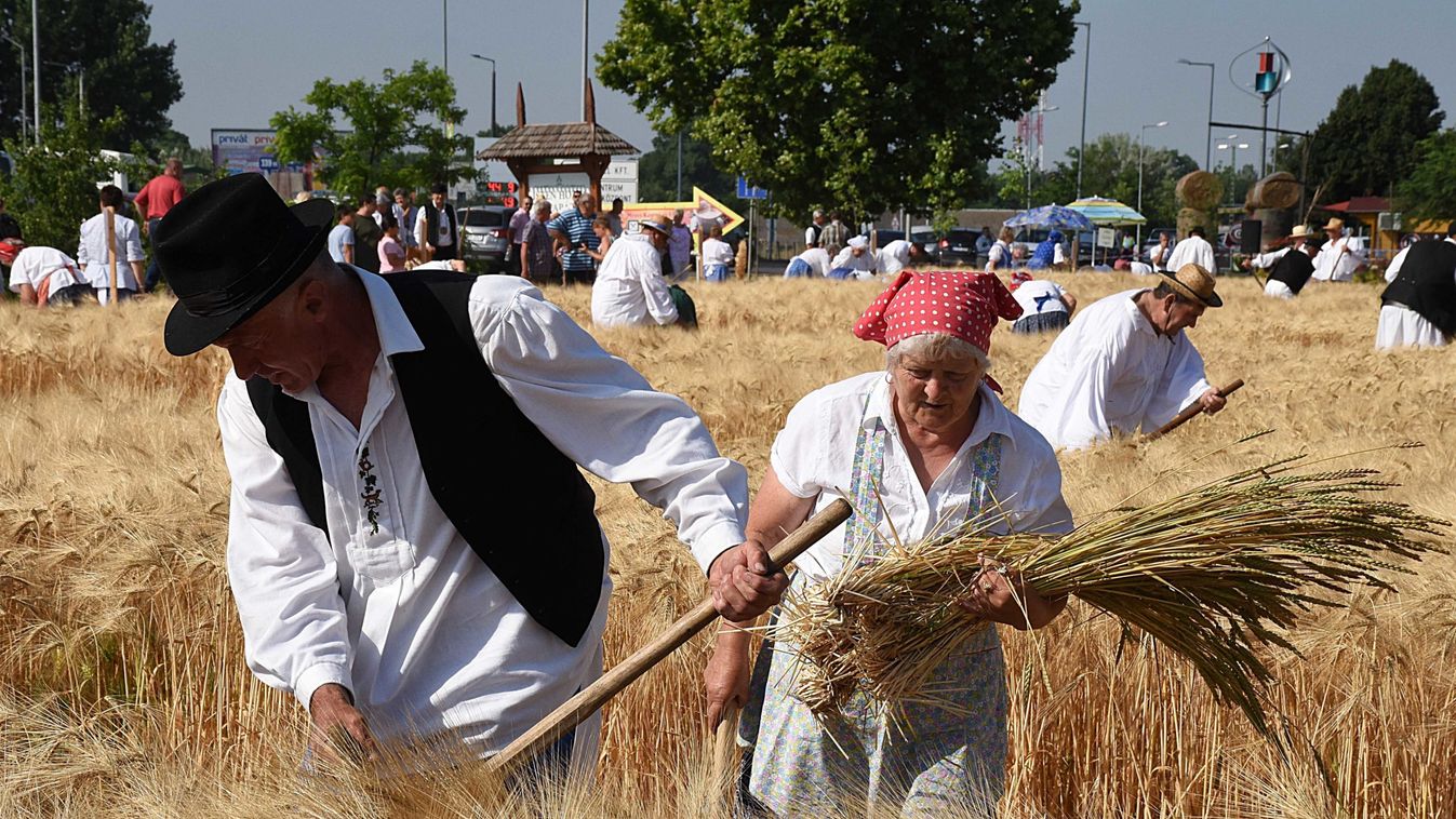 Őseink aratási szokásainak jegyében telt az ünnep Jászapátin