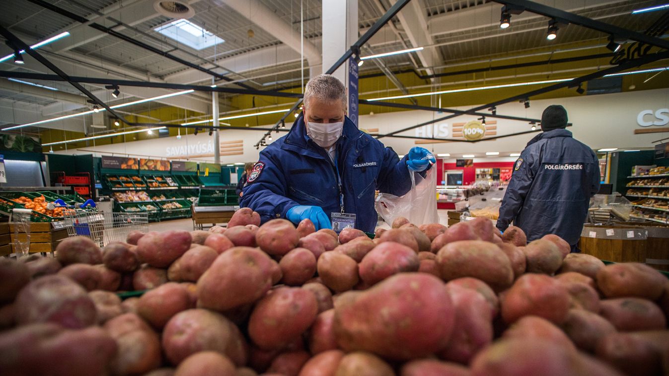 Korszerű technológiával lenne növelhető a burgonya vetésterülete