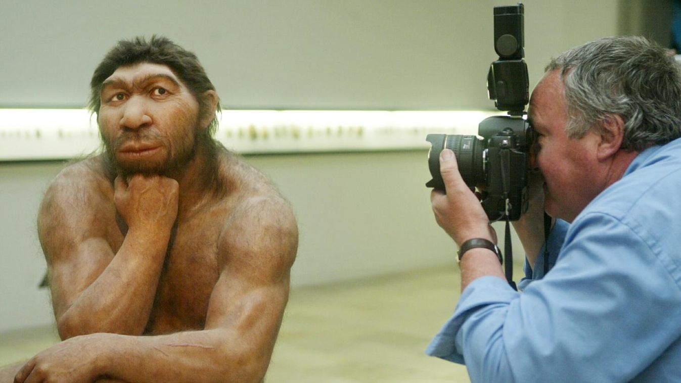 Elsősorban hússal táplálkozott a neandervölgyi ember