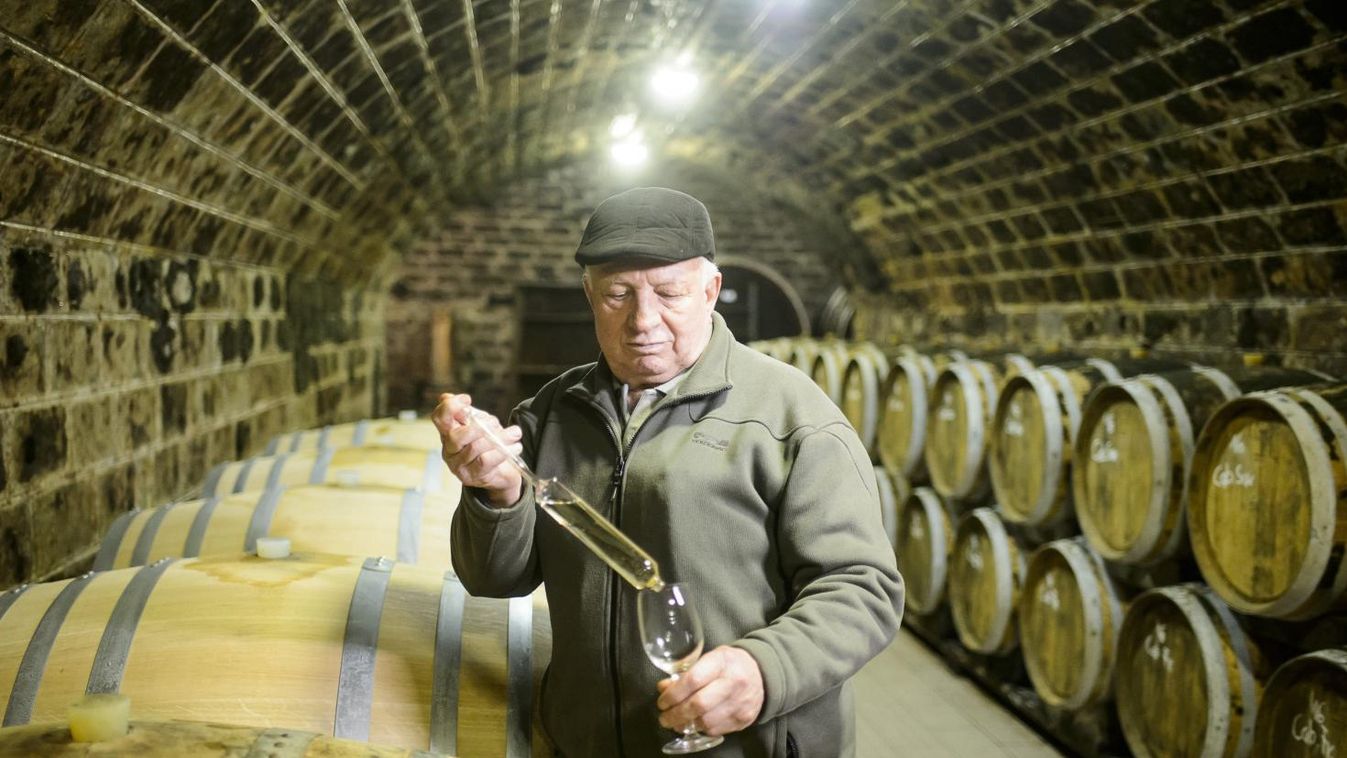 Háromféle támogatásból fejleszthetnek a borászatok