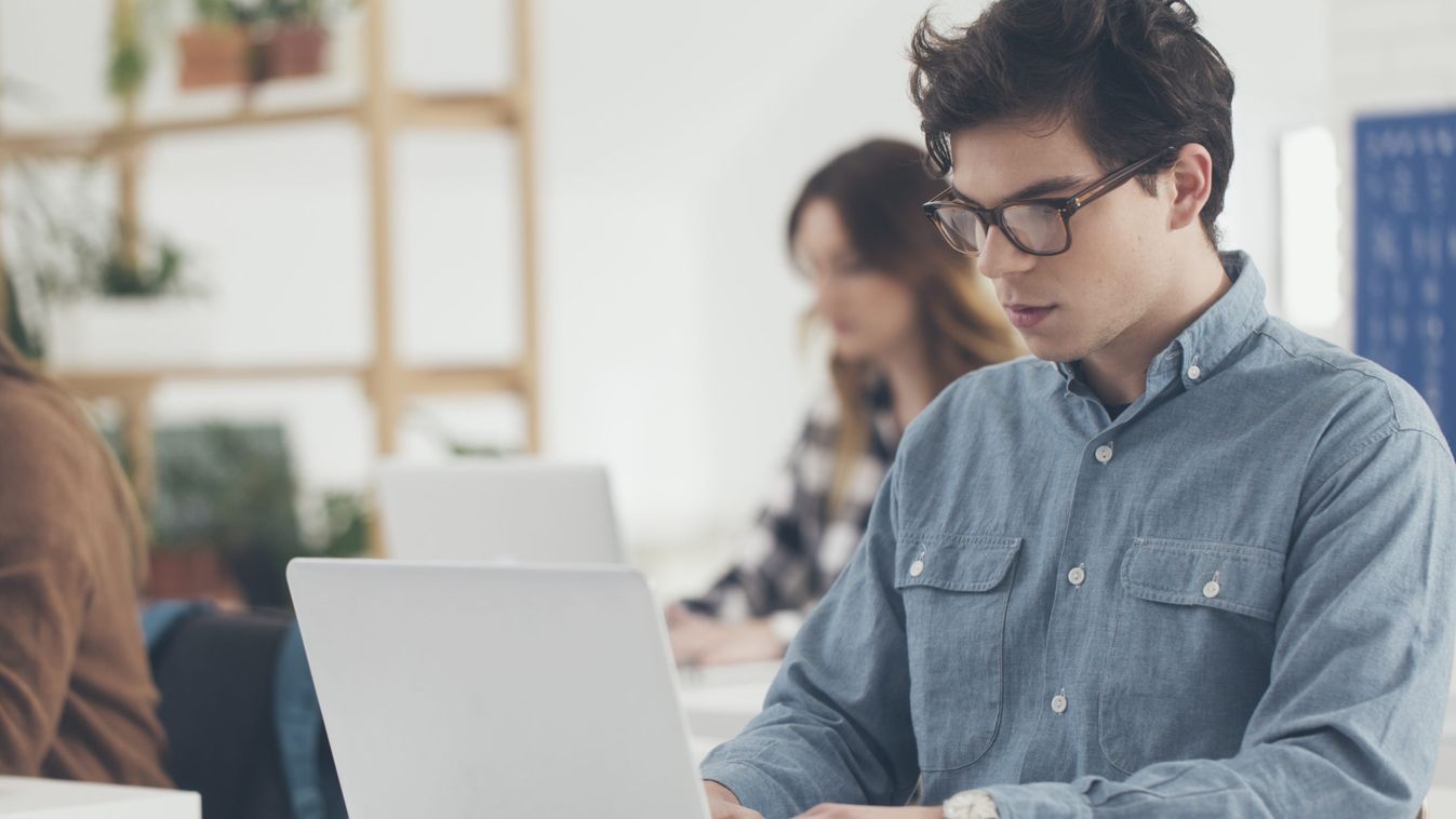 Startup tehetségkutatóval zárul a Design Terminal Mentorprogramja