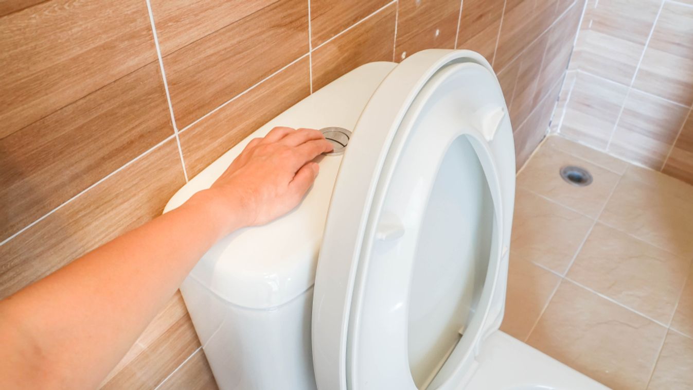 Baj lehet, ha nyitott fedéllel öblítjük le a vécét