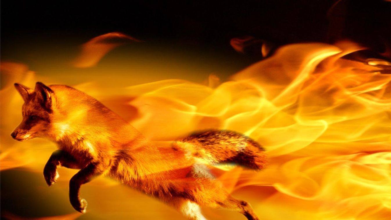 Felpörgött a Firefox böngésző
