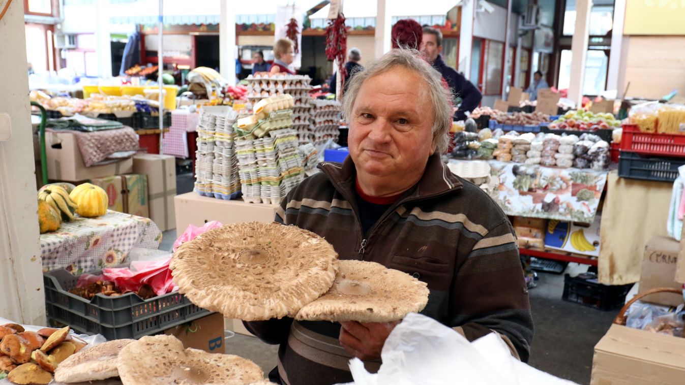 Javában tart már az őszi gombaszezon