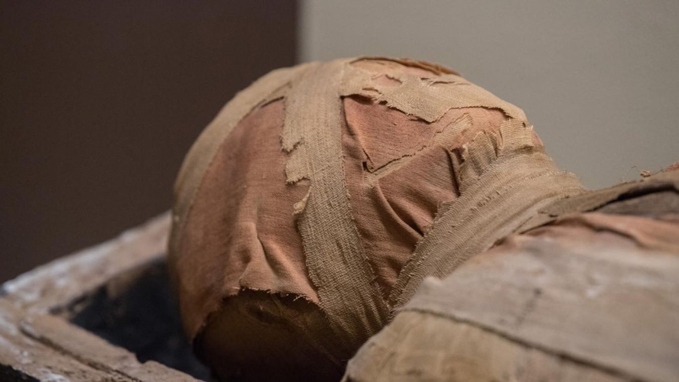 Az FBI segített azonosítani egy 4000 éves egyiptomi múmiát