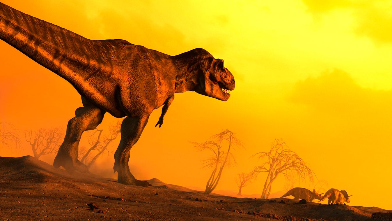 A T. rex korai rokonát azonosították