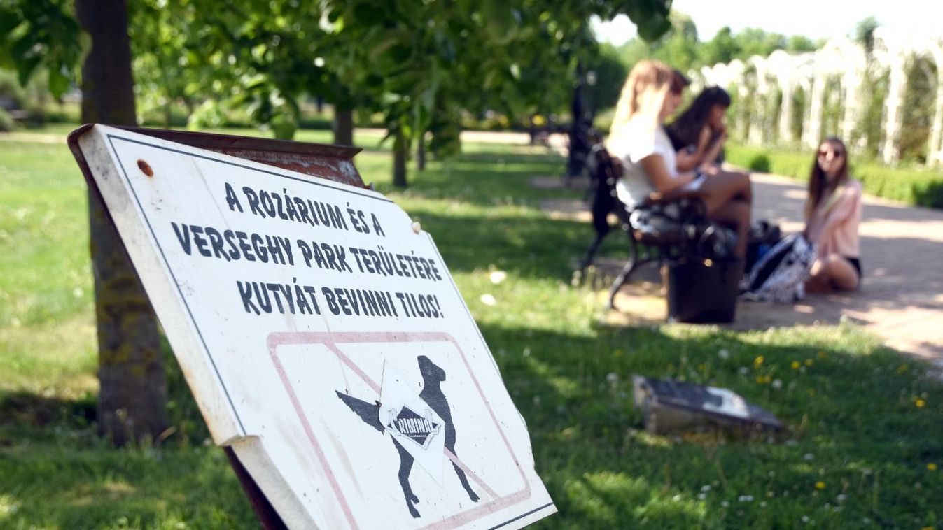 Sok bosszúságot okoz a kutyagumi a szolnoki parkban
