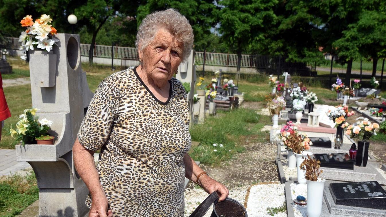 A vakondok és a hörcsögök évről évre feldúlják a fegyverneki temetőt