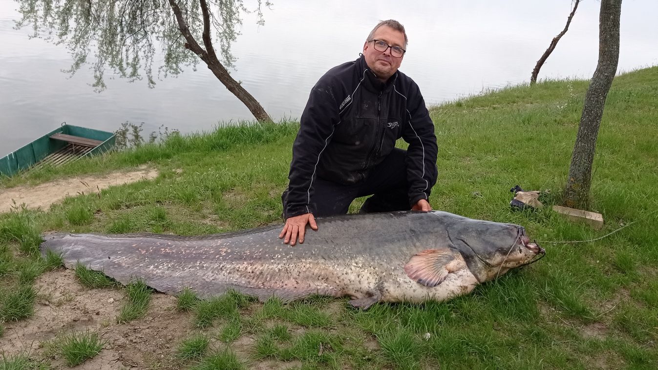 Kilencvenhárom kilós harcsát fogott a kisújszállási horgász
