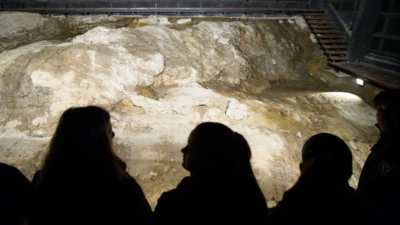 Azonosították az ipolytarnóci ősmaradvány-lelőhelyet megőrző vulkánkitörést