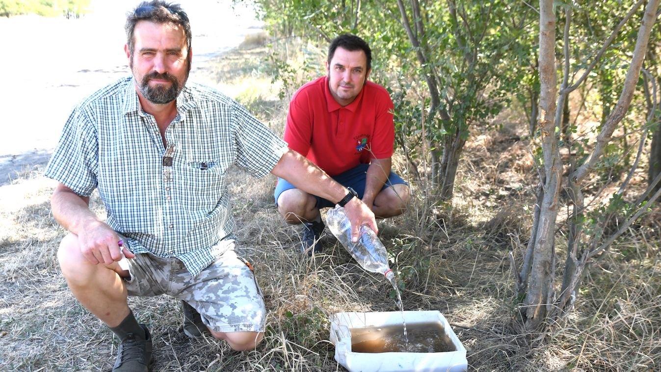 Az életükért küzdenek, itatják a szomjazó vadakat Mesterszállásnál