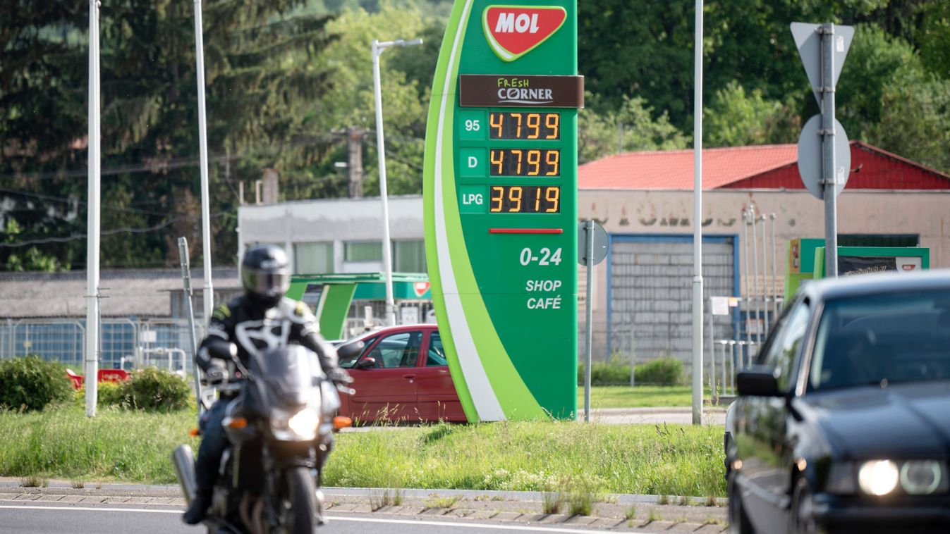 Hazánkat igazolja a növekedés