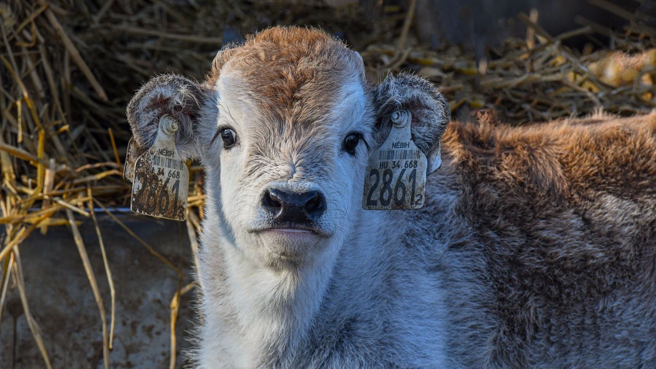 Az agrártárca fő célkitűzése a hatékonyságnövelés és az agrárdigitalizáció