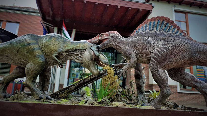 SZOLJON – Jövő héten nyílik az ingyenes Jurassic Park kiállítás az abonyi művelődési házban