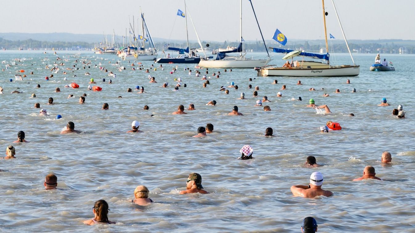 Fél áron lehet utazni a MÁV-val a 41. Balaton-átúszásra – frissült