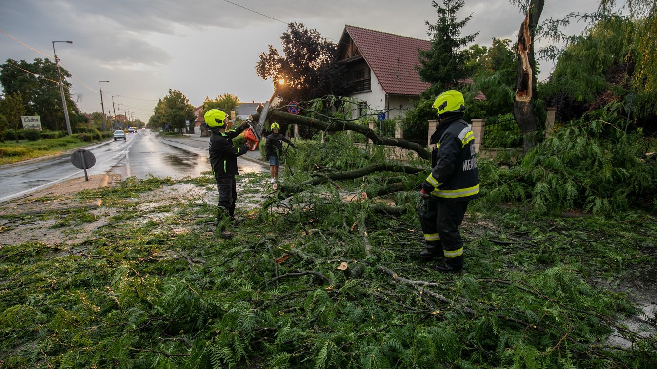 Viharos szél: kidőlt fák és leszakadt ágak nehezítik a jászkunsági tűzoltók munkáját