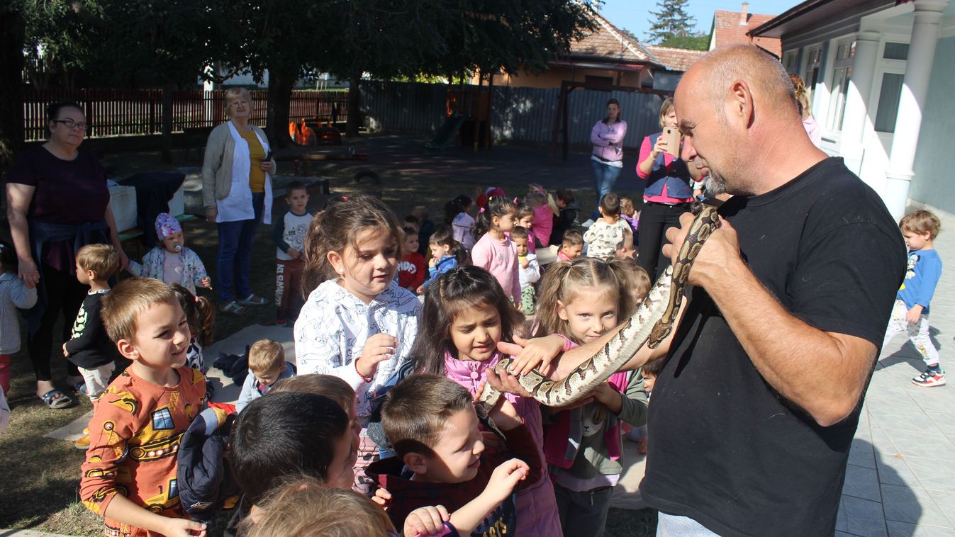 Megszállták a rékasi ovit az állatok