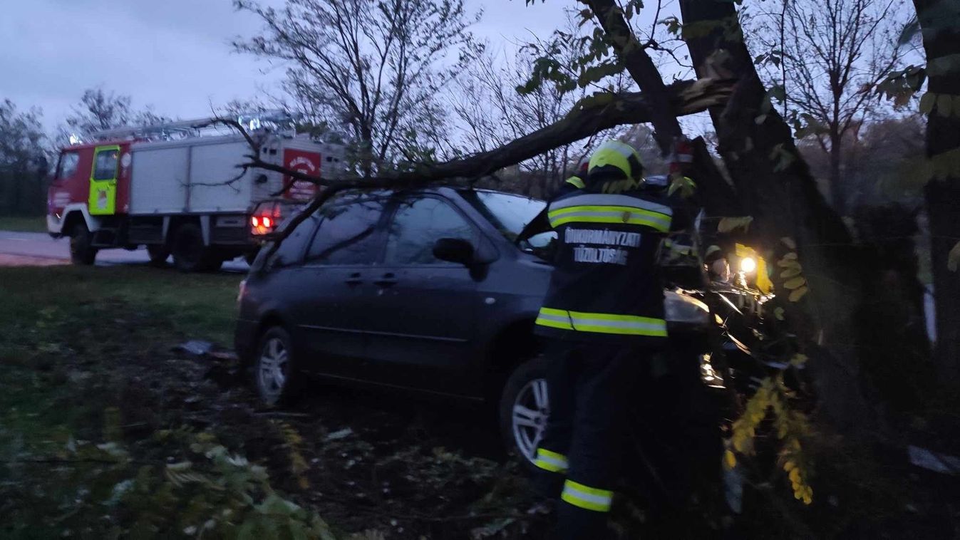 Fának csapódott egy autó Cibakházánál, a sofőrt nem találták meg a kiérkező tűzoltók
