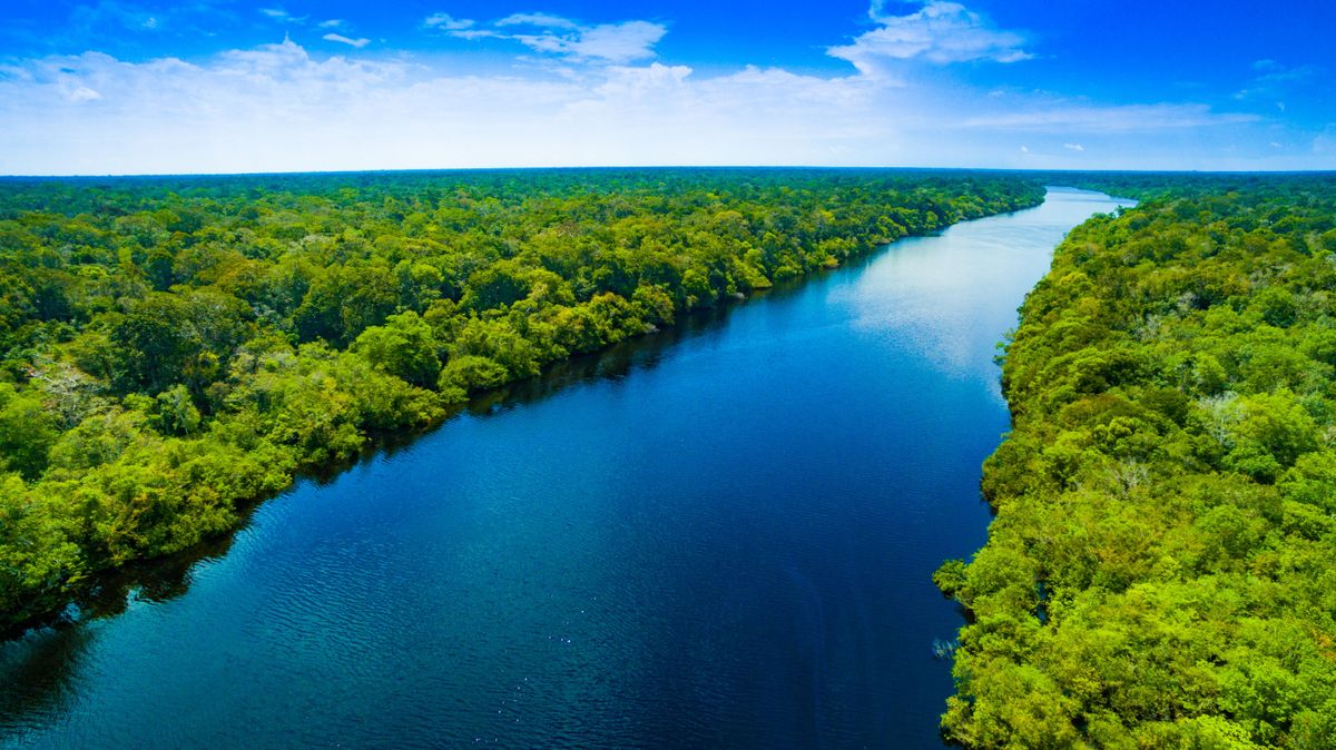 Amazon,River,In,Brazil
