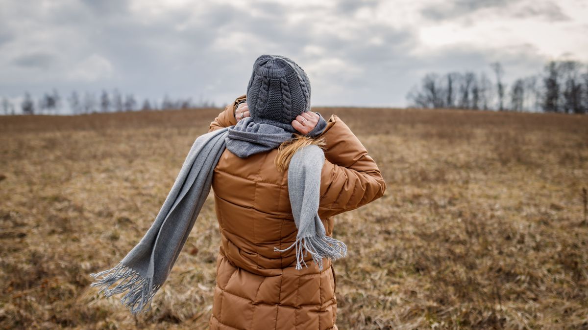 Wind,And,Cold,Weather.,Woman,Wearing,Coat,,Scarf,And,Knit