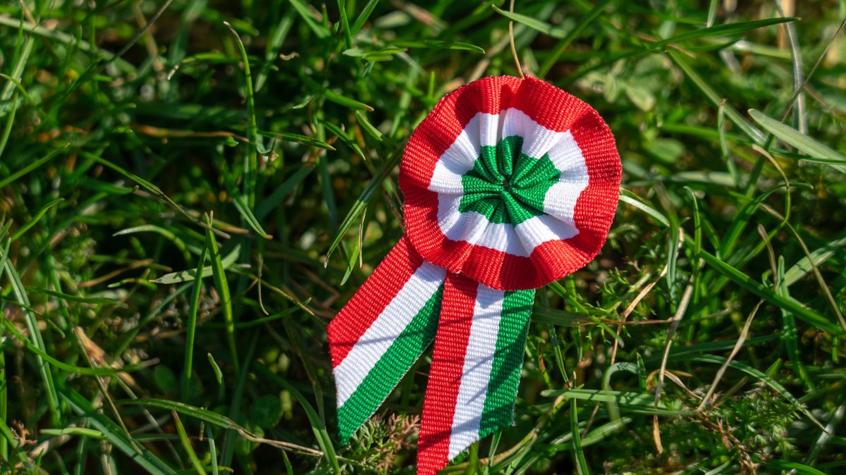 Tricolor,Rosette,On,Spring,Tree,With,Bud,Symbol,Of,The