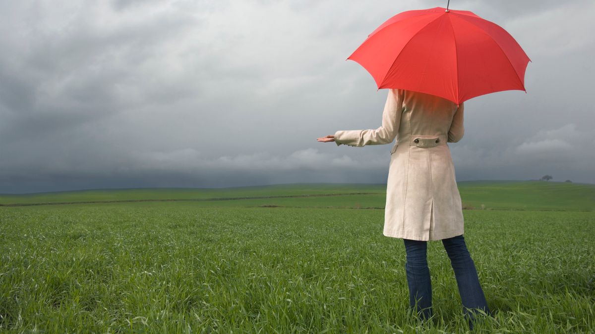 Rear view of woman holding umbrella in field