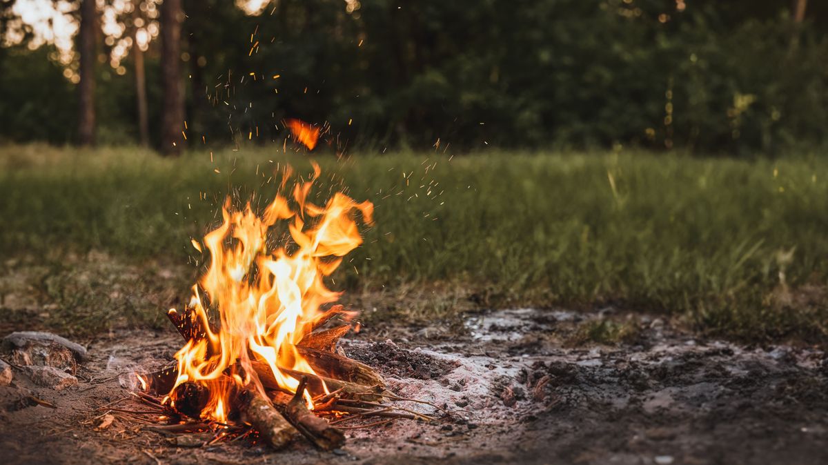 A,Lonely,Evening,By,The,Forest,Campfire,-,Embracing,The,fire