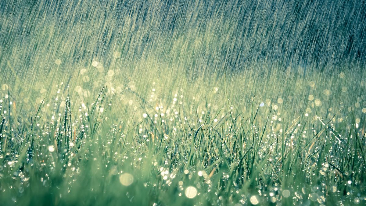 Wonderful,Heavy,Rain,Shower,In,The,Sunshine,Of,Springtime,Or