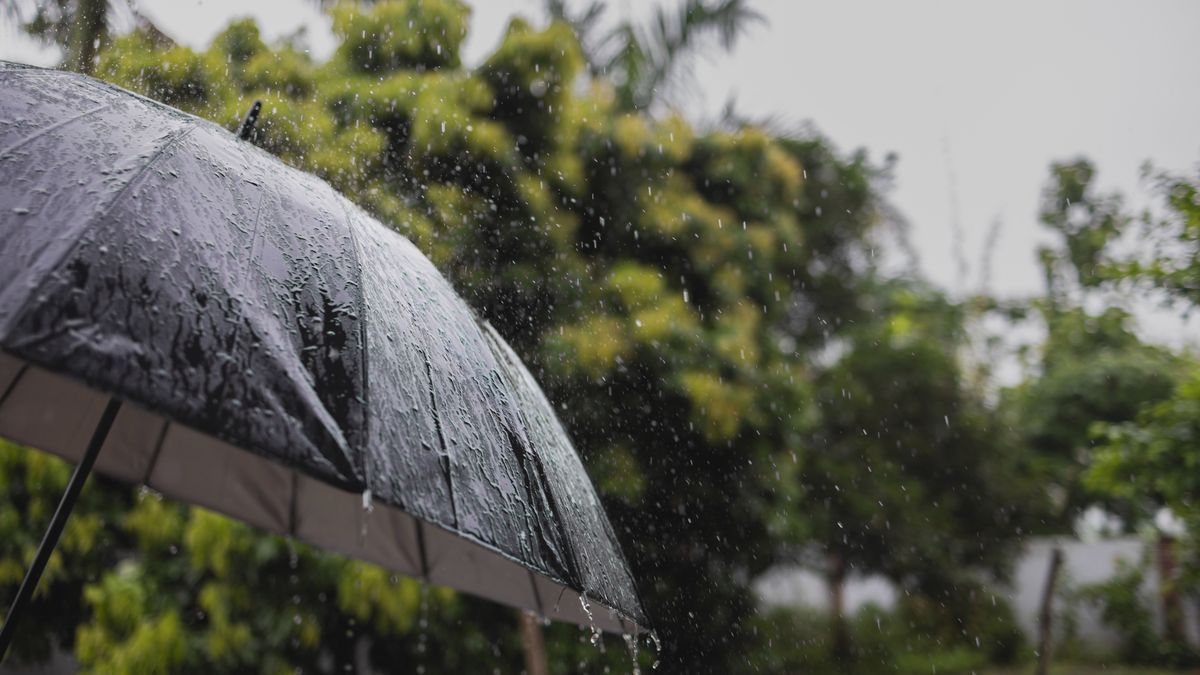 eső,zápor,időjárás,szórványos záporok