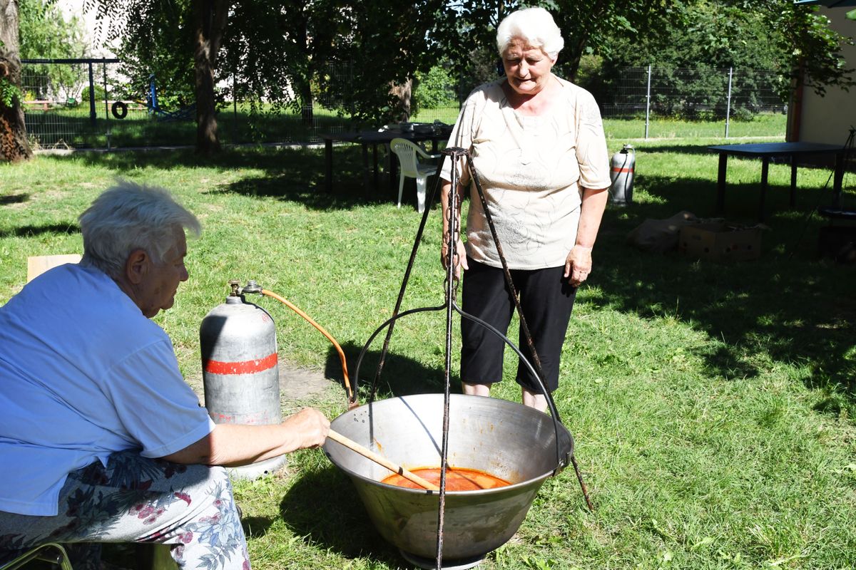 Halászlé és halételek Szandaszőlős