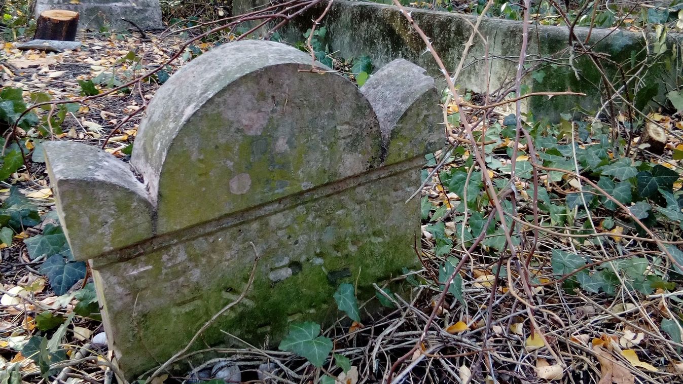 SZOLJON – Rég elfeledett titkokra derült fény a kunszentmártoni zsidó temetőben