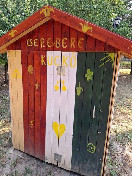 csere-bere kuckó