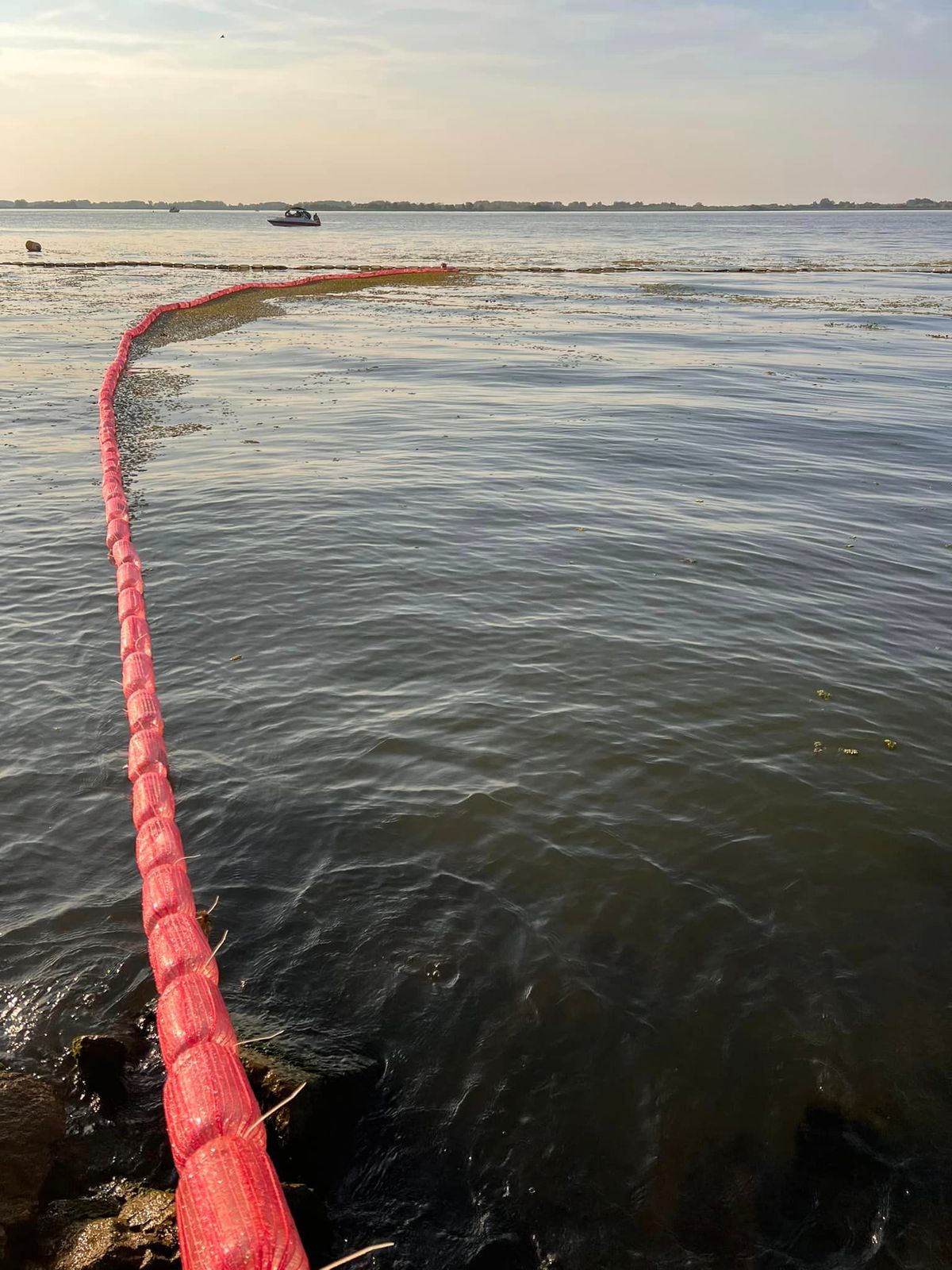 rejtélyes élőlény, strand, fürdő, Abádszalók, rucaöröm