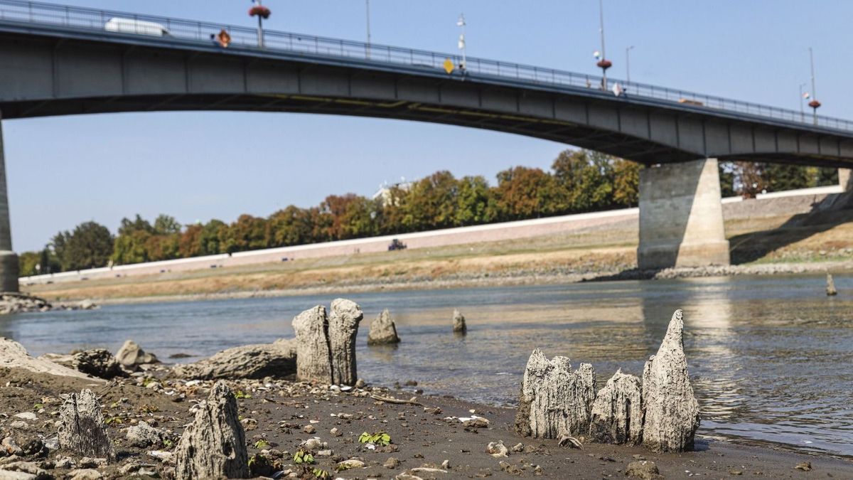 tisza vízszintje, tisza, vízállás, török kori híd