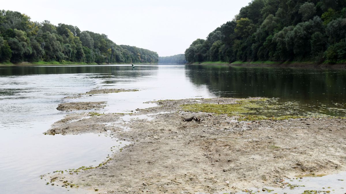 cibakházi sziget,Tisza