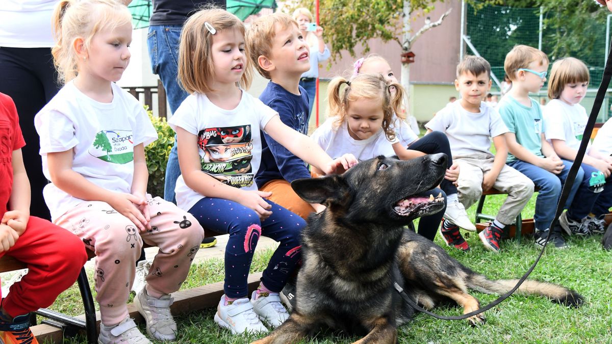 állatvédelem a szolnoki óvodákban