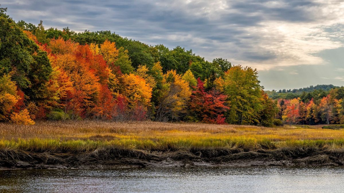 Autumn,Forest,On,The,River,Bank.,Forest,River,In,Autumn.