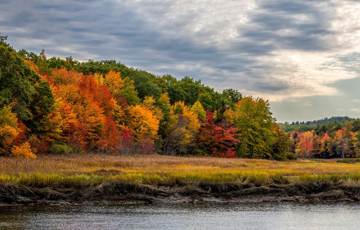 Autumn,Forest,On,The,River,Bank.,Forest,River,In,Autumn.