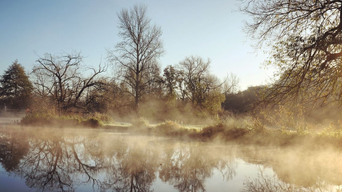 A,Still,River,Wey,On,A,Cold,Sunny,Morning,In