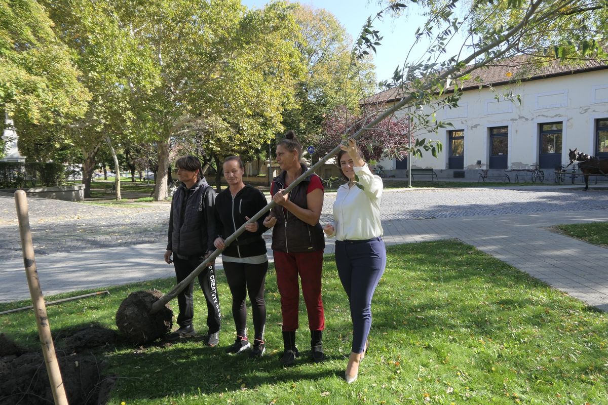 olimpiai vándorgyűlés Abonyban