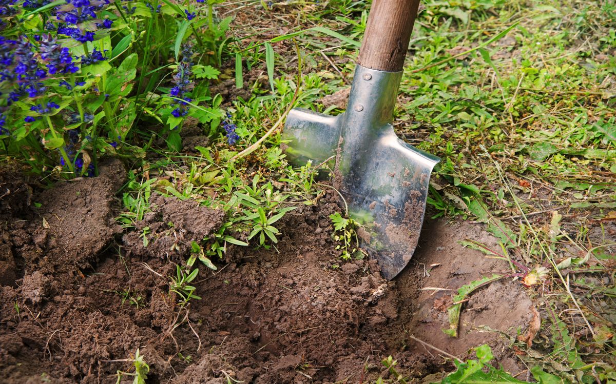 Old,Hand,Worker,Closeup,Begin,Deep,Burial,Hole,Sow,New