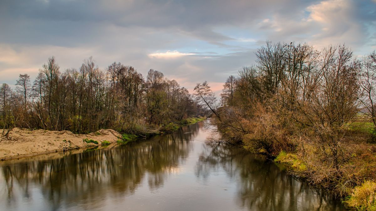 Autumn on the Widawka river, Poland