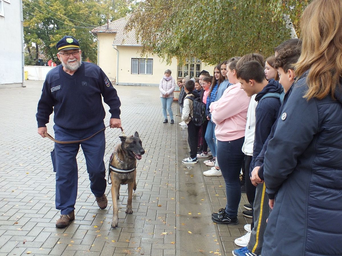 kutyás bemutató