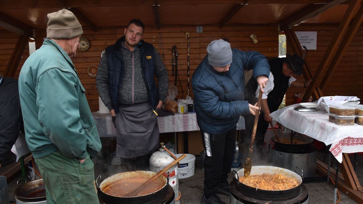 berekfürdői fesztivál