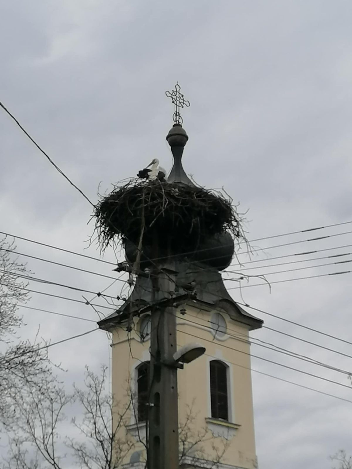 Első gólya Kuncsorba