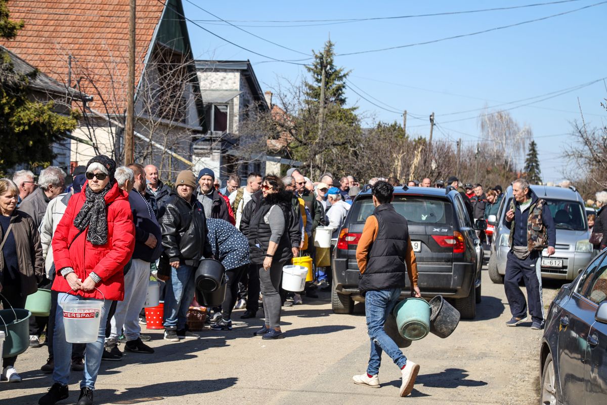 halat osztanak, törpeharcsa, Szolnok, Tisza Horgászegyesület