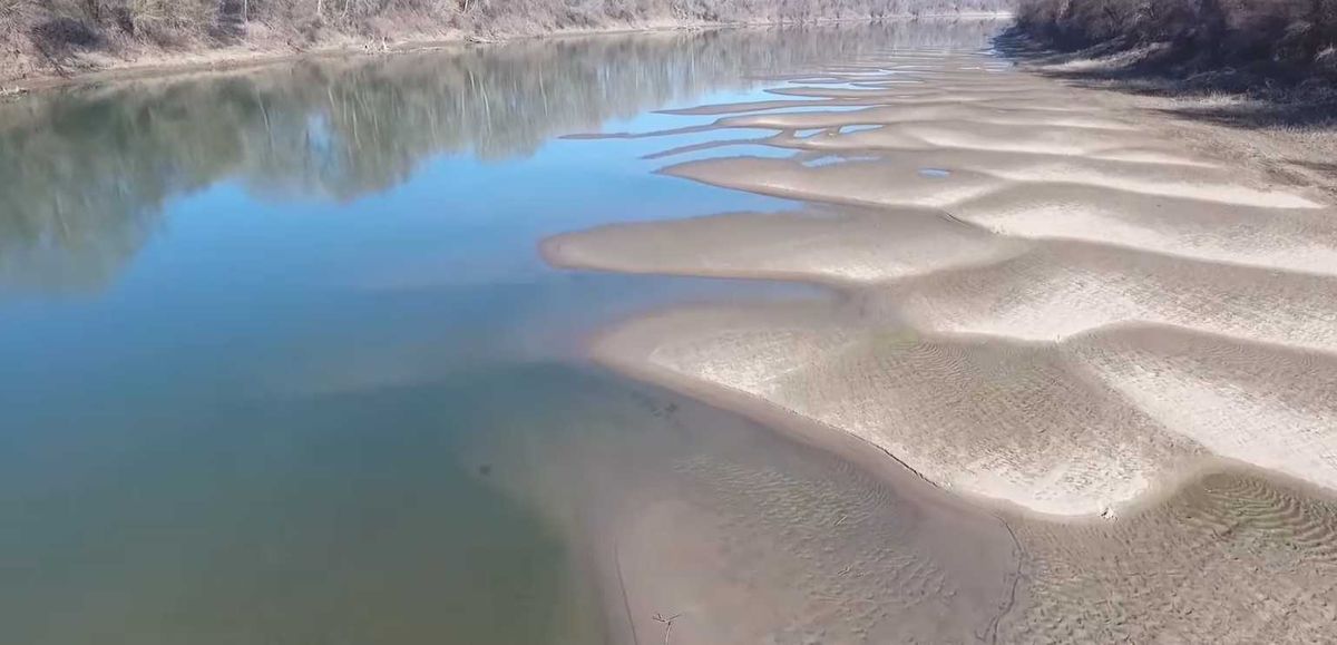 homokpadok, Tisza