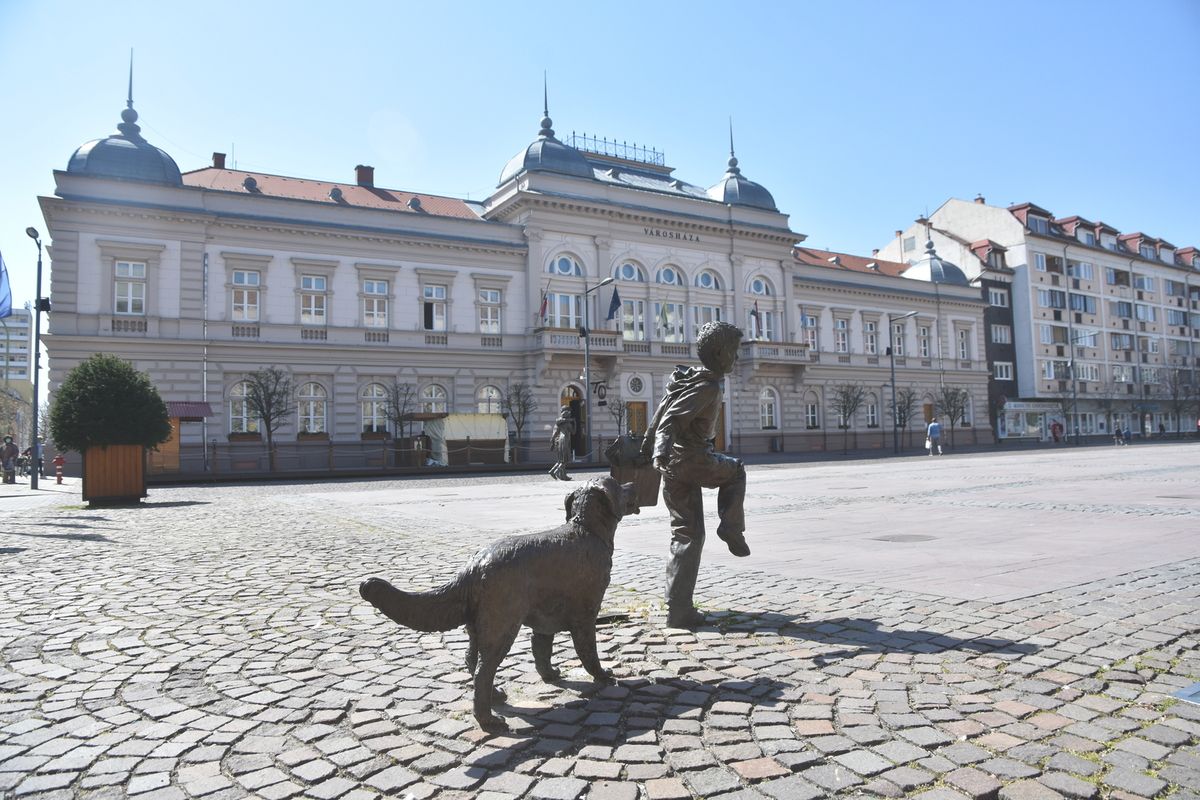 elektrolitgyár, népszavazás, Szolnok, elutasították