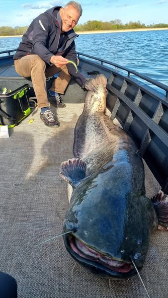 kapitális harcsa, horgászat, Tisza-tó, hal